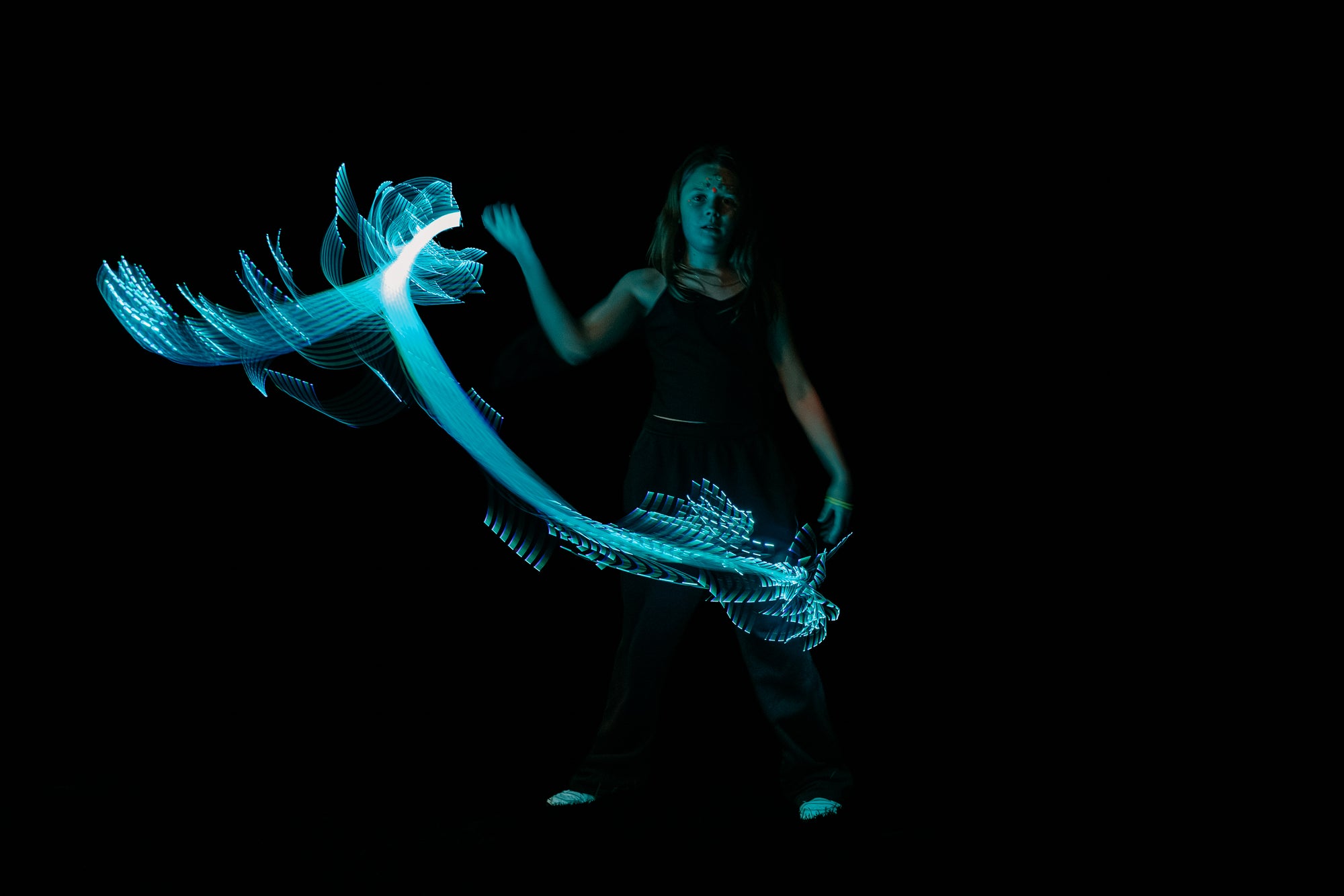 Multicolour Fiber Optic Whip