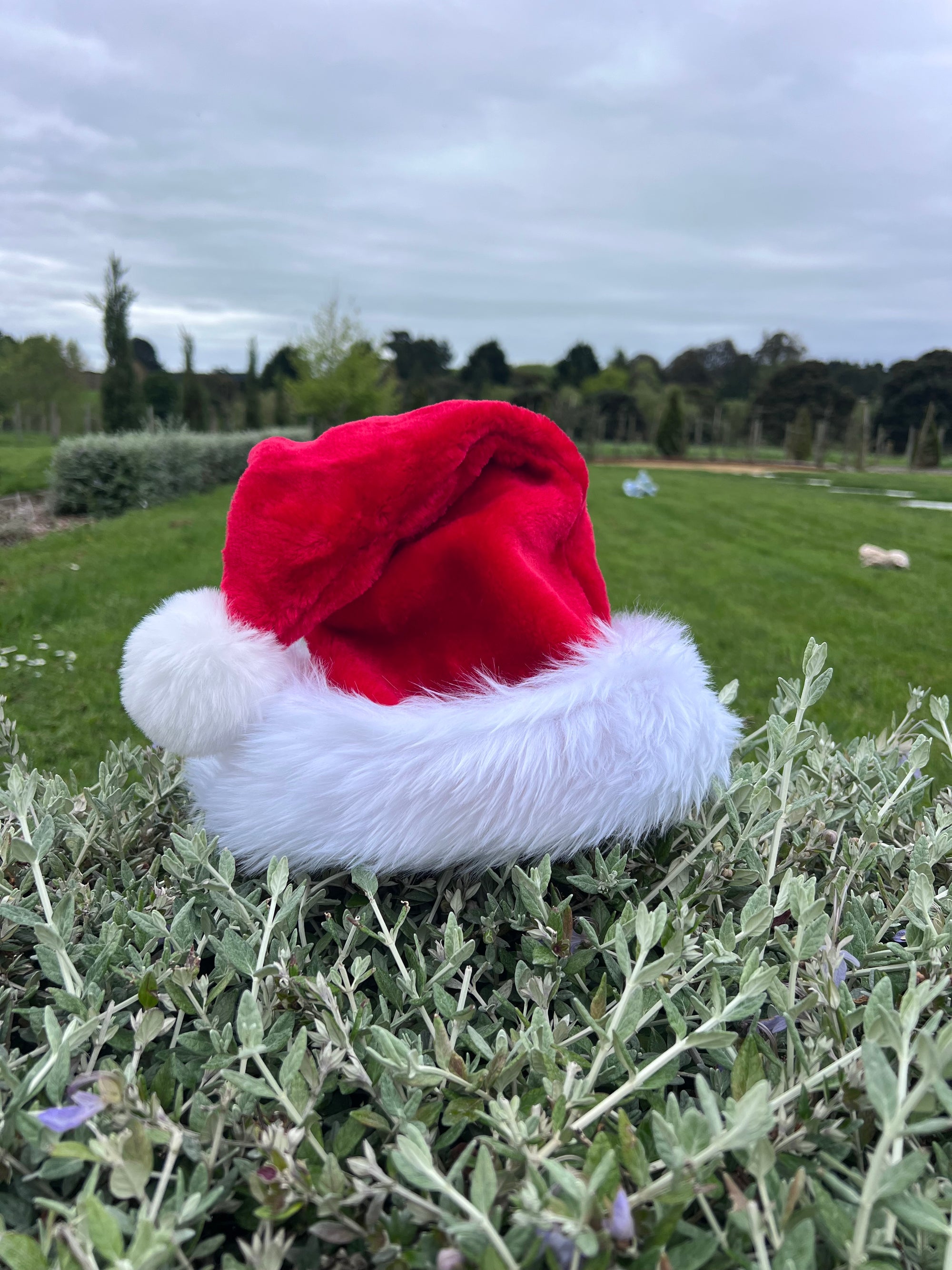 Santa Hat- LED
