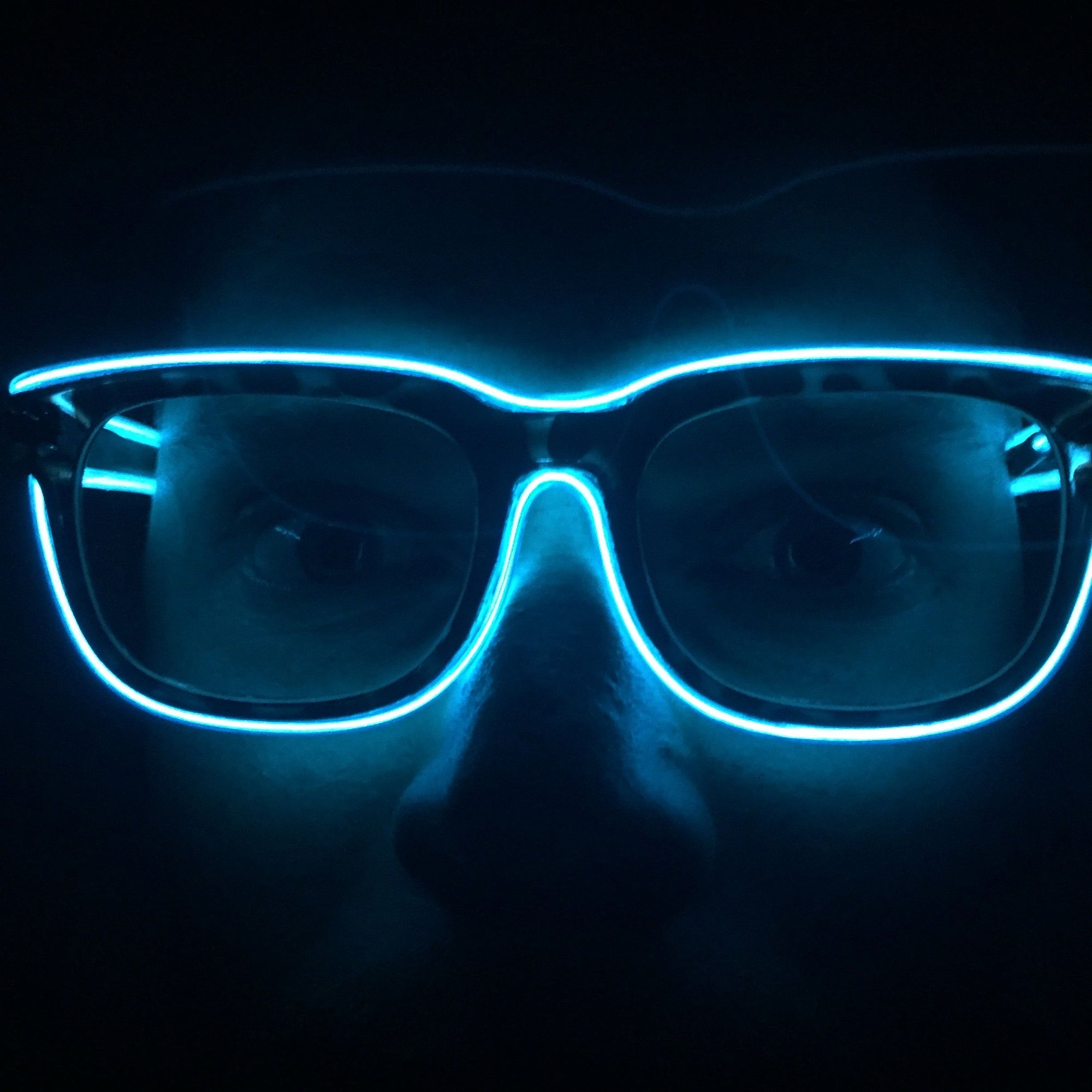 EL Wire Glasses - Leopard Frame