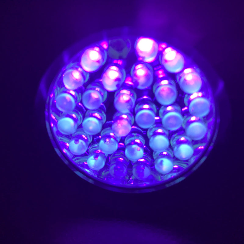 UV Torch - 28 LED